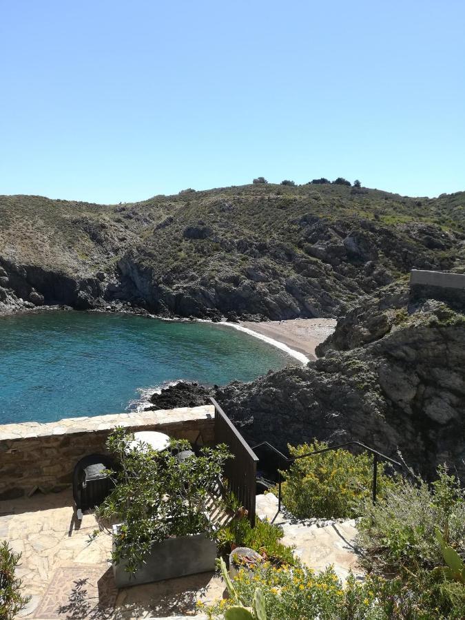 Cap D Osne - Banyuls Sur Mer - 2Mn Plage Exteriör bild